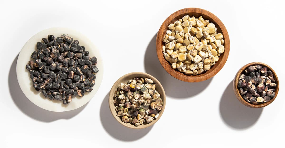 Distiller’s Perspective: What Heirloom Corn Brings to Whiskey
