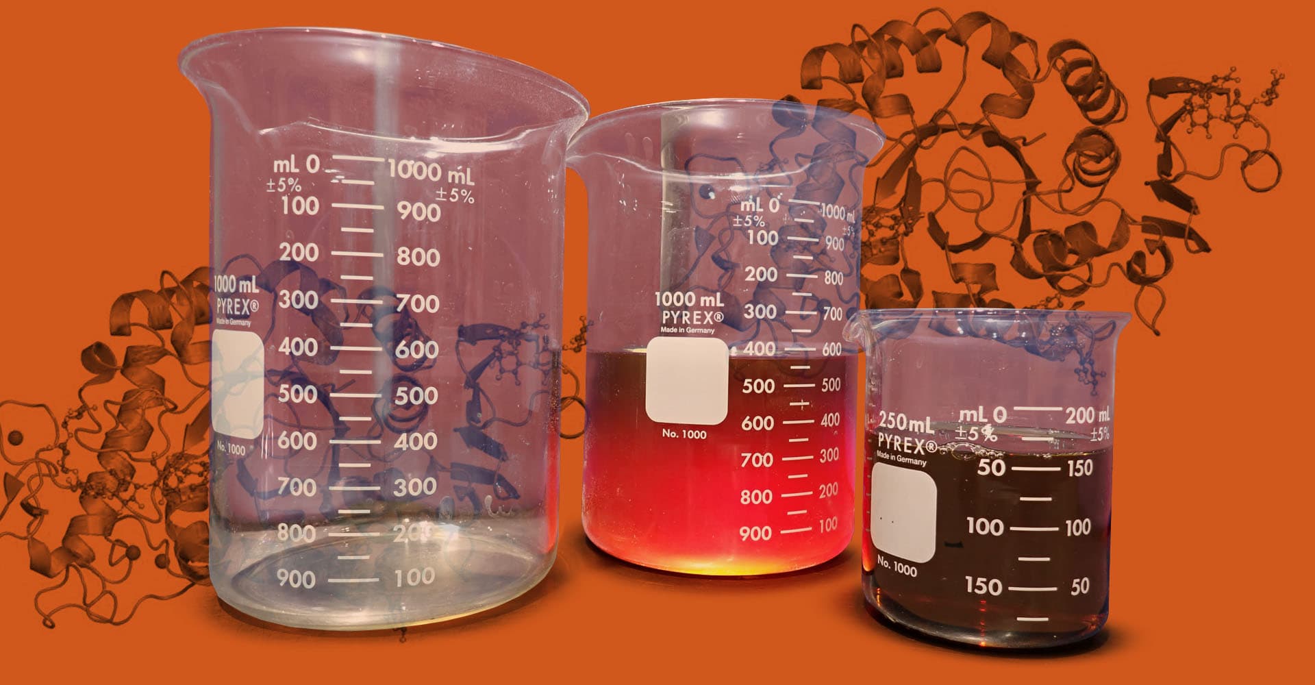 The Role of Enzymes in the Distillery