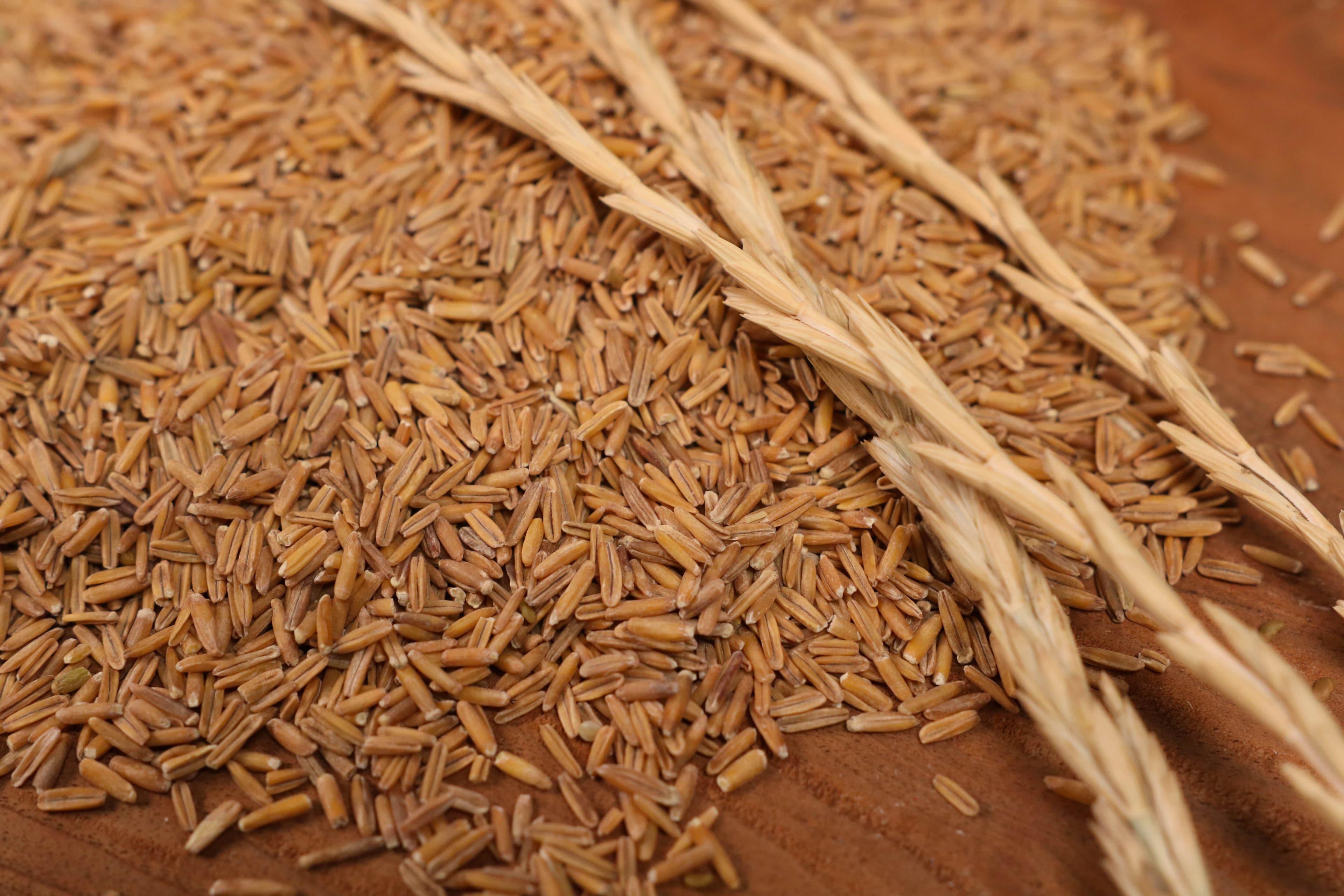 A New Perennial Favorite: Making Whiskey with Kernza