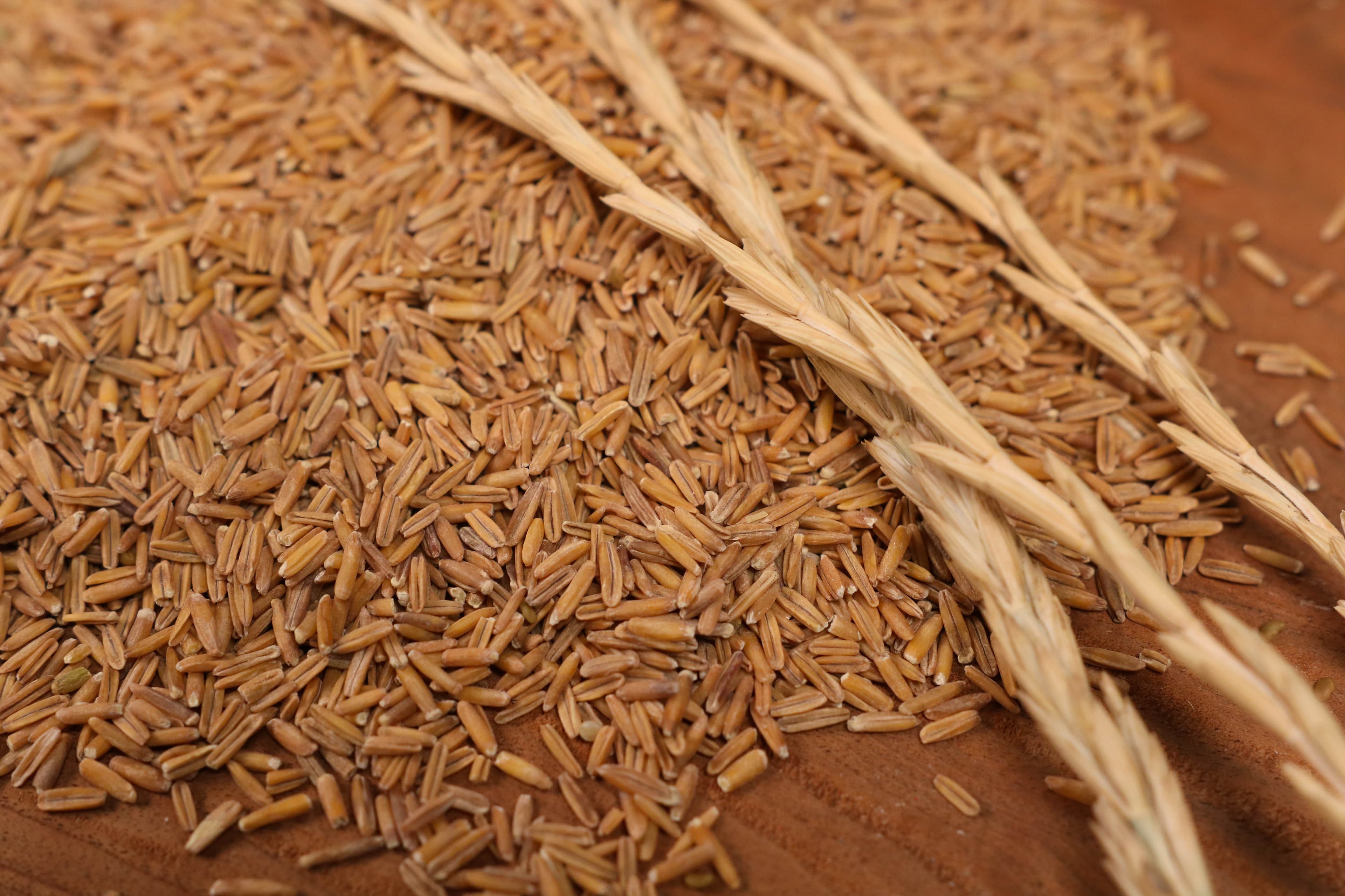 A New Perennial Favorite: Making Whiskey with Kernza