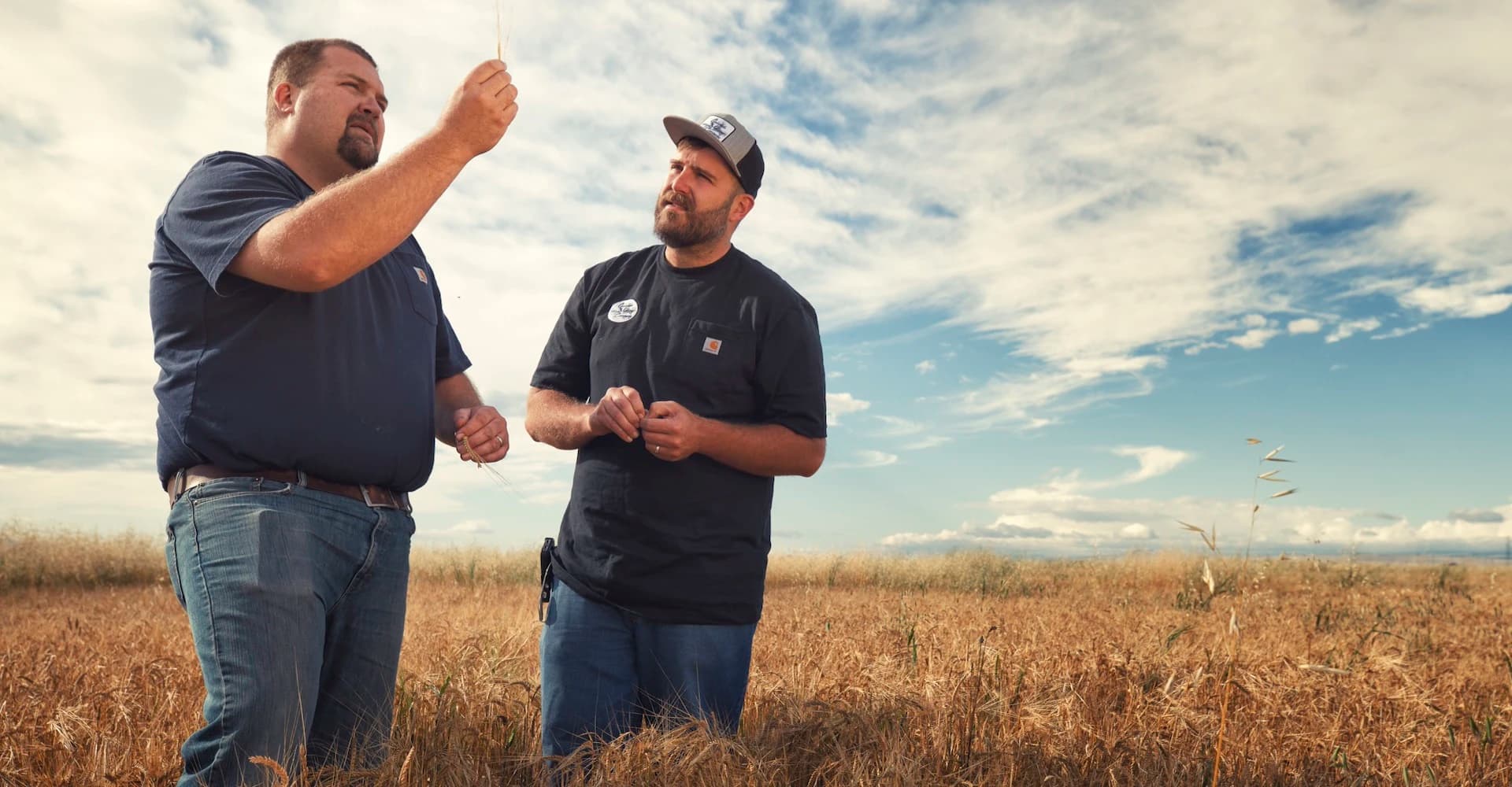 Farmer’s Perspective: Growing Grains for Flavorful Spirits