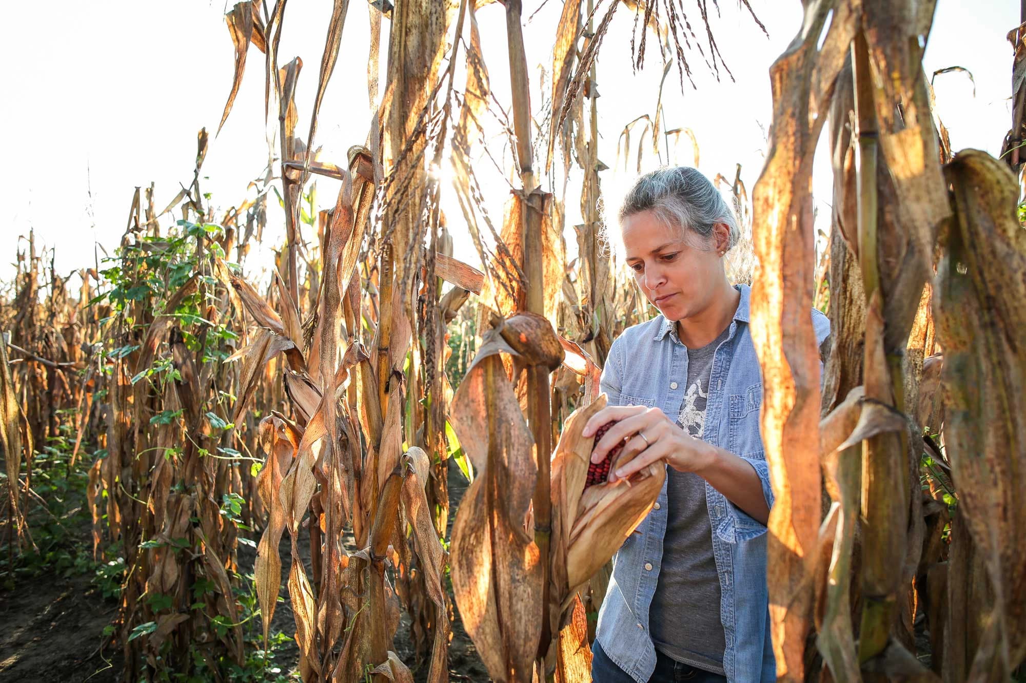 Making Spirits with Uncommon Grain Varieties