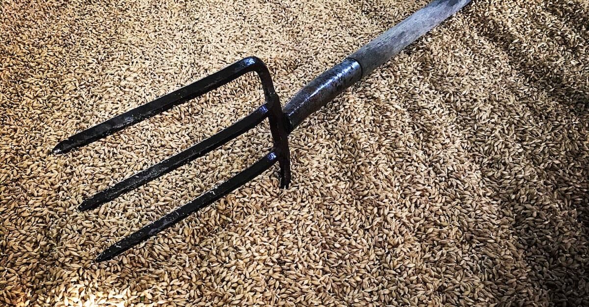 Why Glycosidic Nitrile Should Concern Distillers