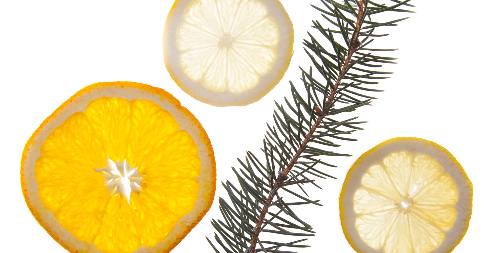 Embracing the Seasonality of Craft Gin