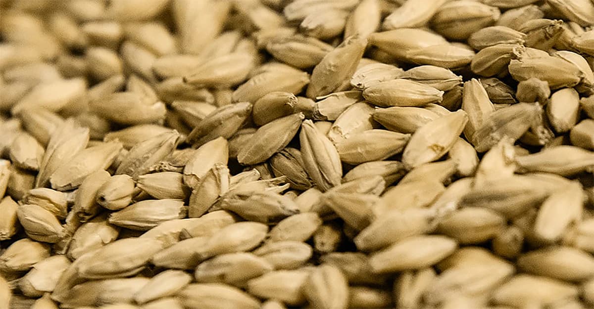 Decoding the Numbers on Your Grain