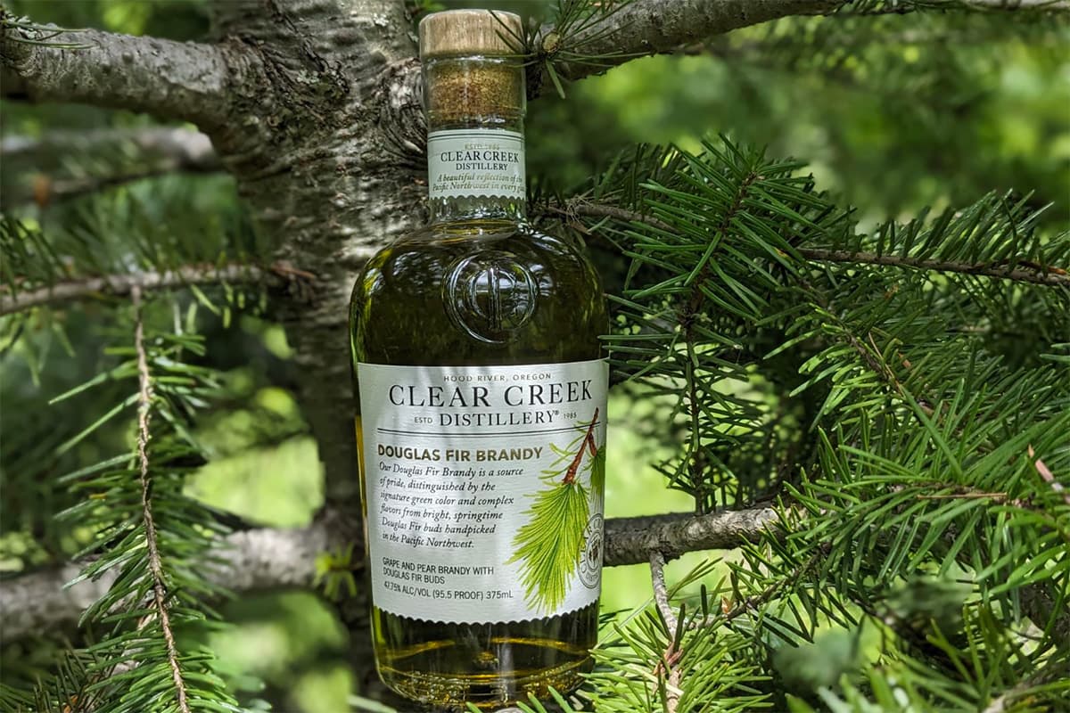 Crafting Spirits from the Pines