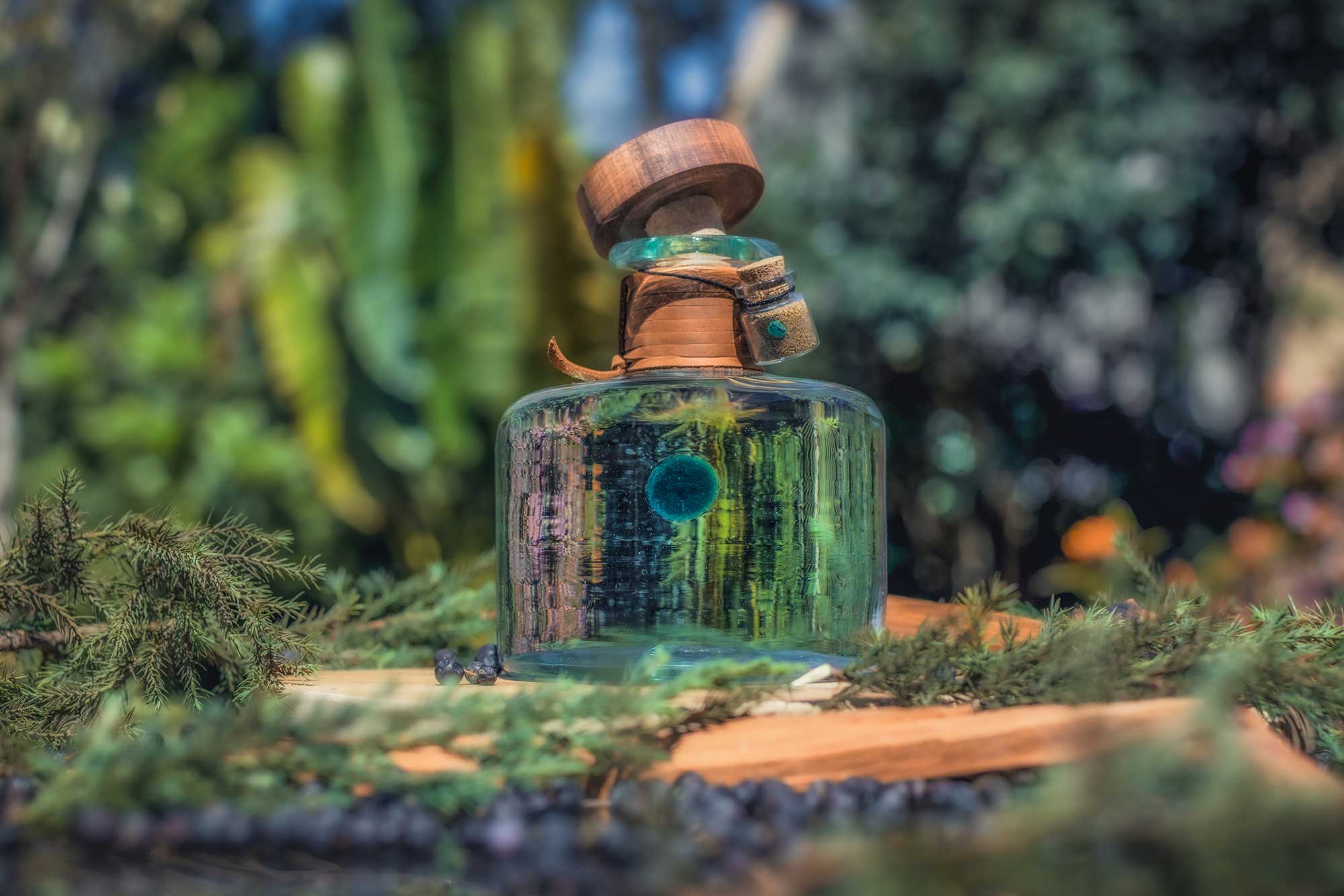 A Kenyan Distillery Makes Gin from Just One Tree