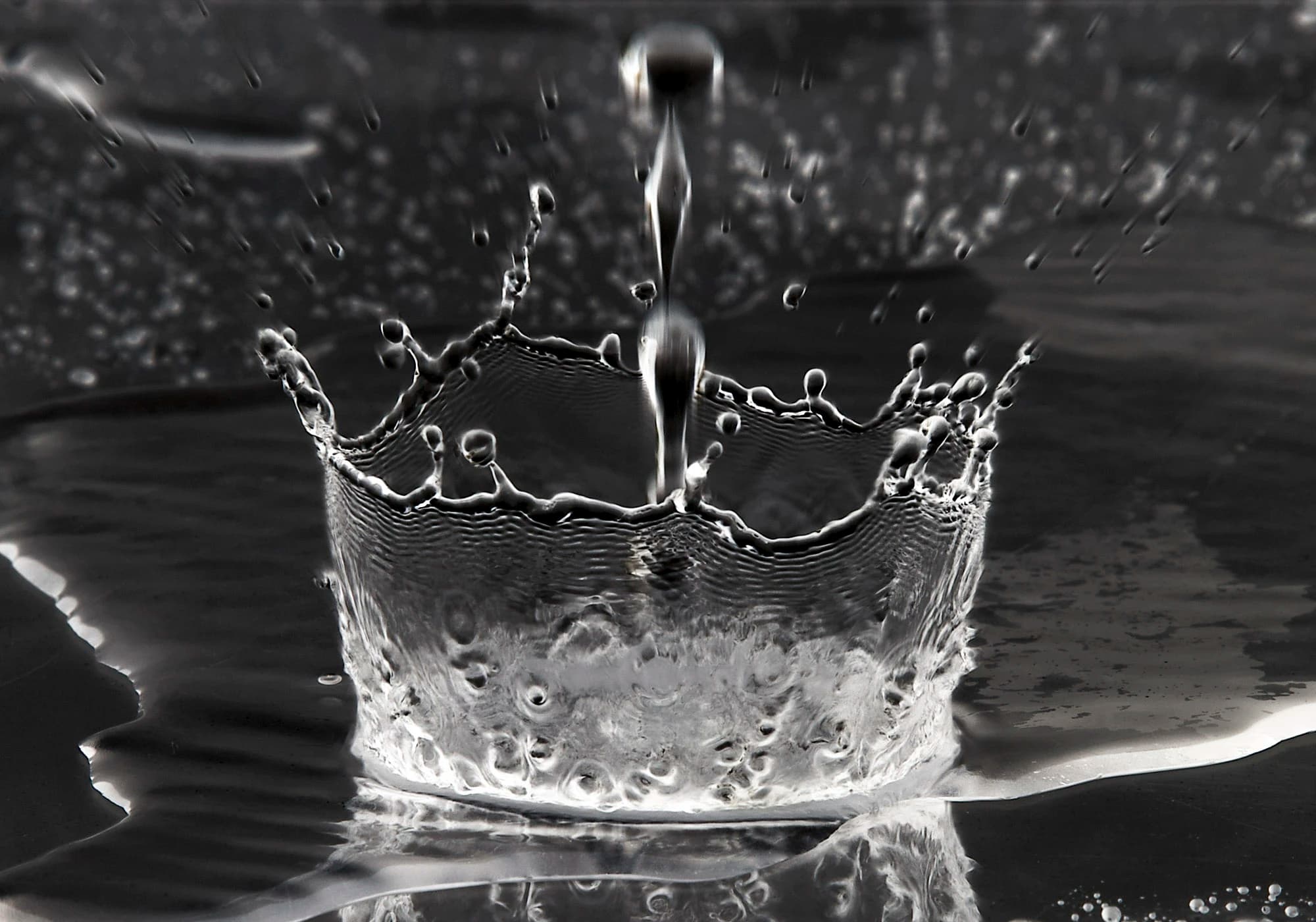 High-Quality Proofing Water Is Essential to Great Spirits