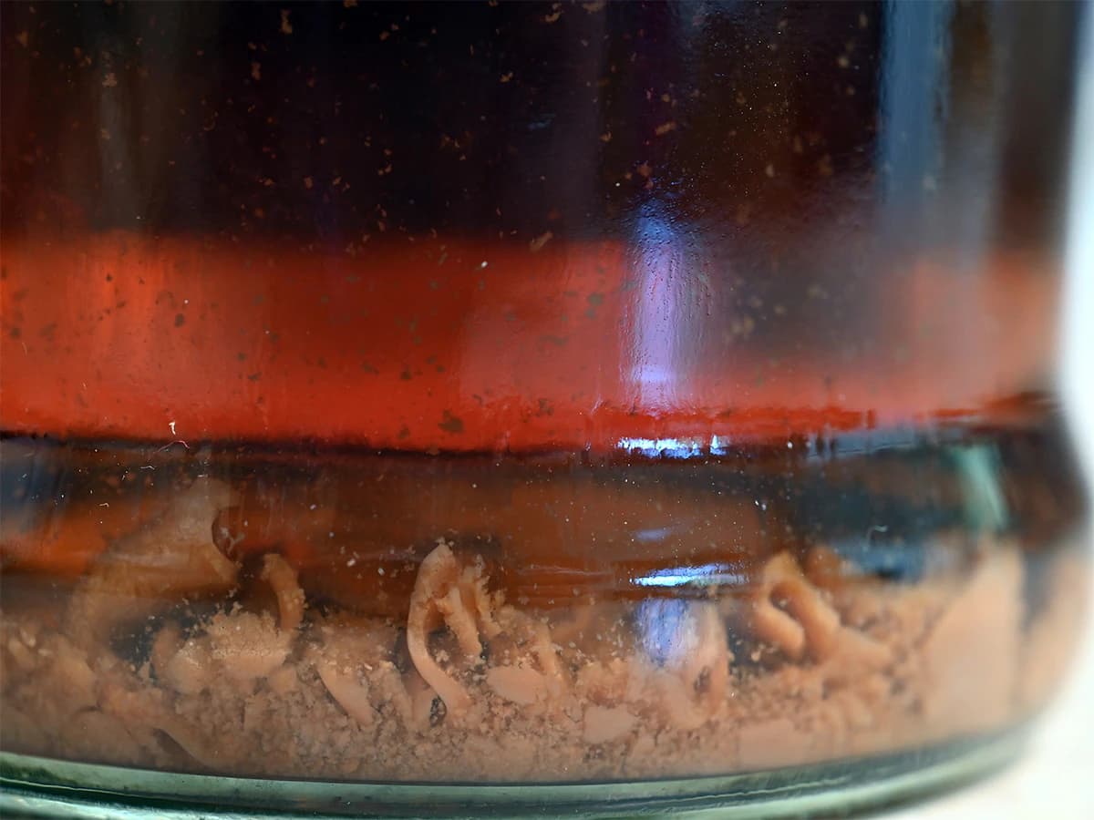 Let’s Clear Things Up: How to Avoid Blobs, Hazes, and Settling in the Bottle