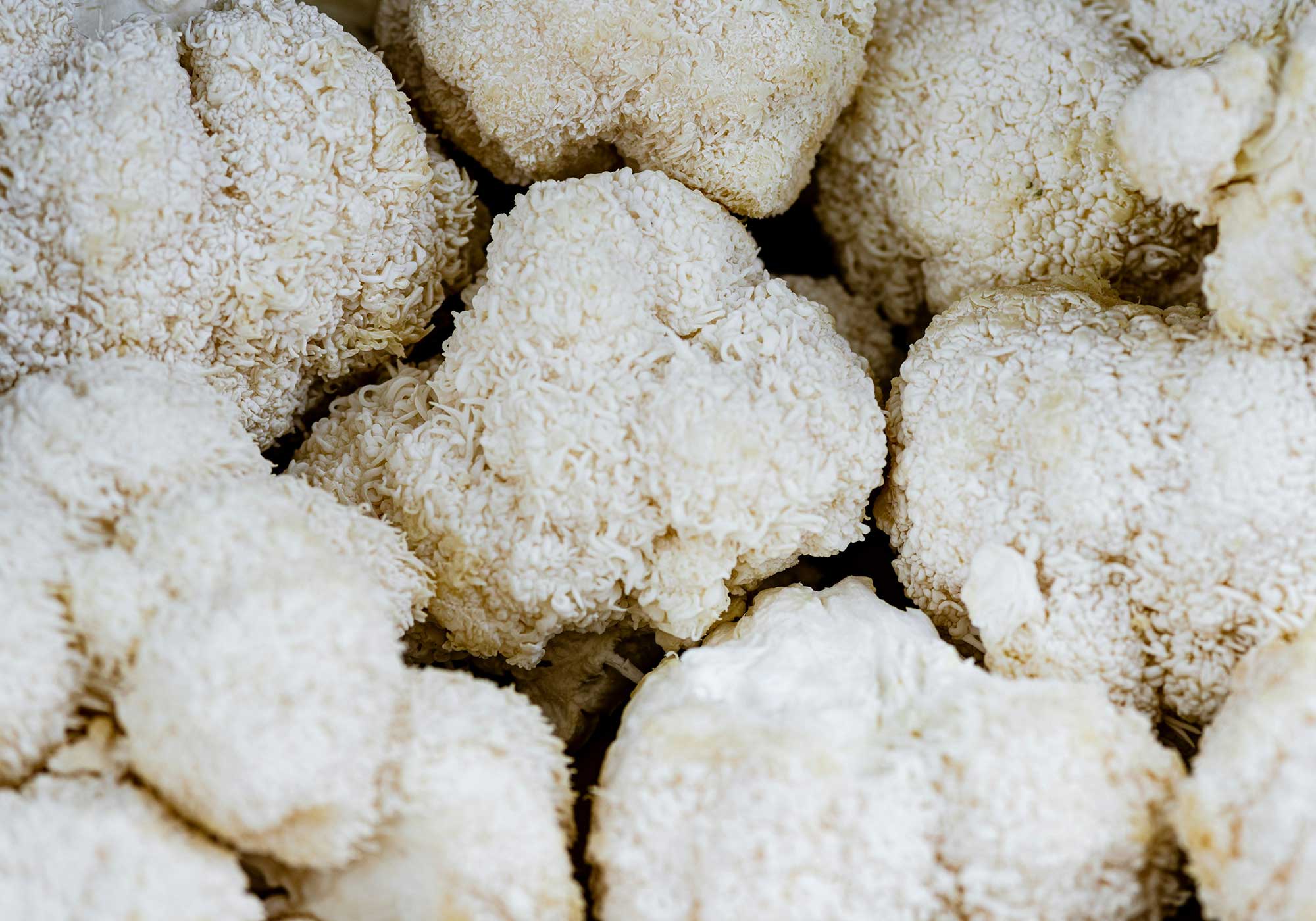 Beyond the Buzz: How Functional Ingredients Can Broaden a Distiller’s Reach