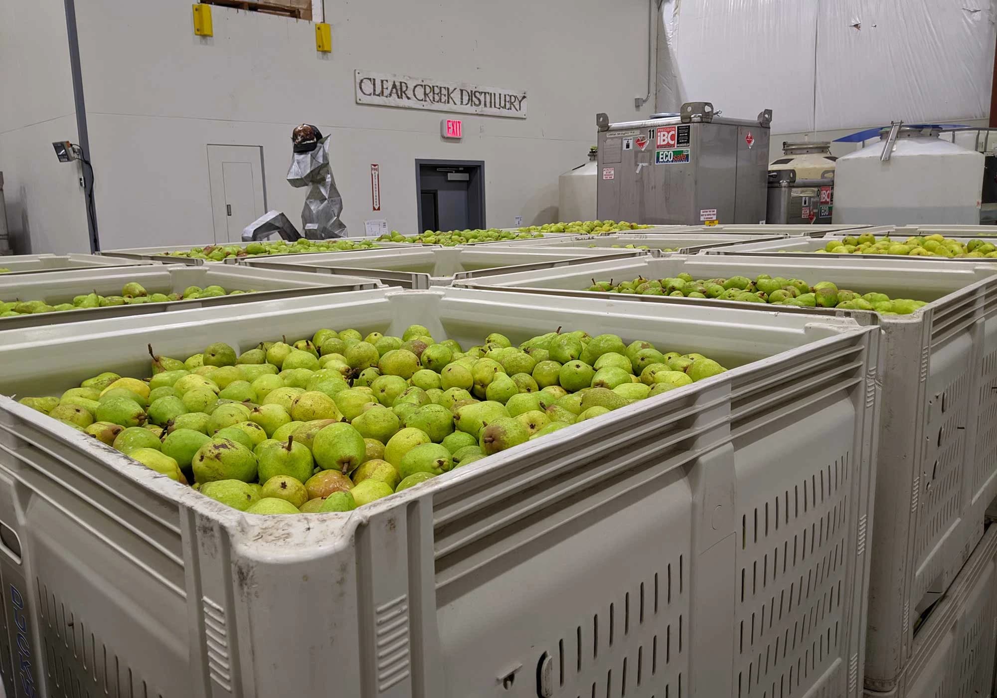 Distilling the Harvest: Managing Fresh Fruit, from Farm to Still